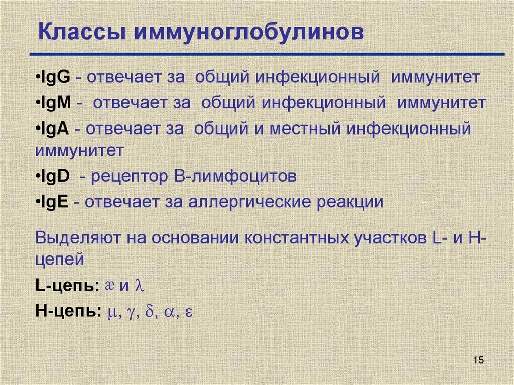 Характеристика классов иммуноглобулинов. 5 Классов иммуноглобулинов функции. Перечислите основные классы иммуноглобулинов. Иммуноглобулины классы и функции.