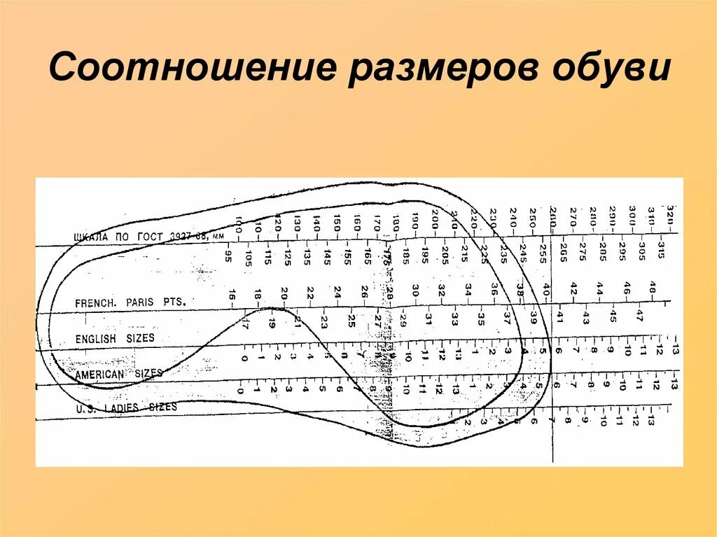 Соотношение размеров обуви. Французский размер обуви. размер по french. соотношение длин.