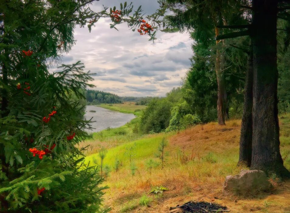 Конец августа природа. Осенний букет. Август конец лета. Стоял конец августа. Августовский пейзаж.