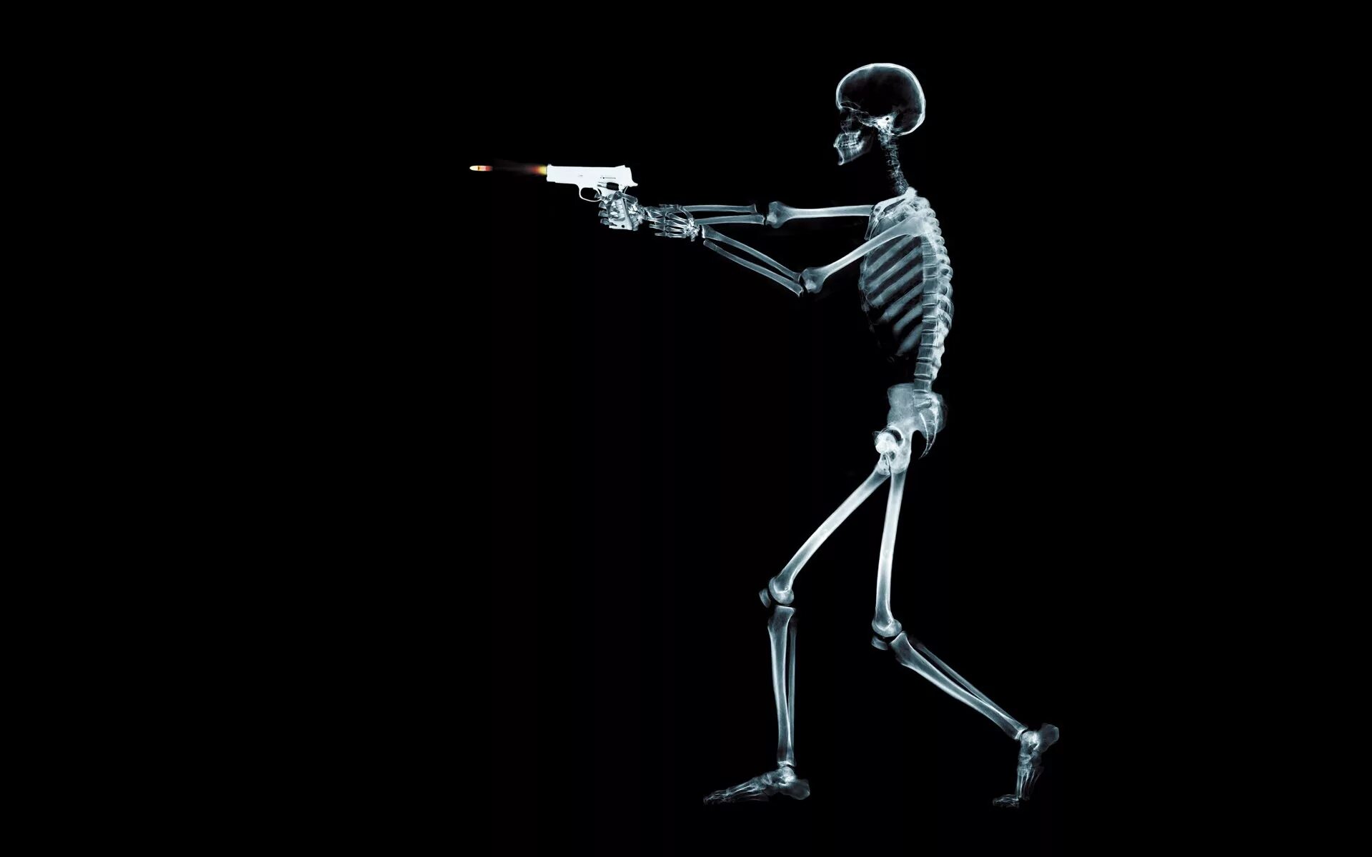 Скелет на черном фоне. Рентгеновские снимки. Снимок скелета. Заставка скелета