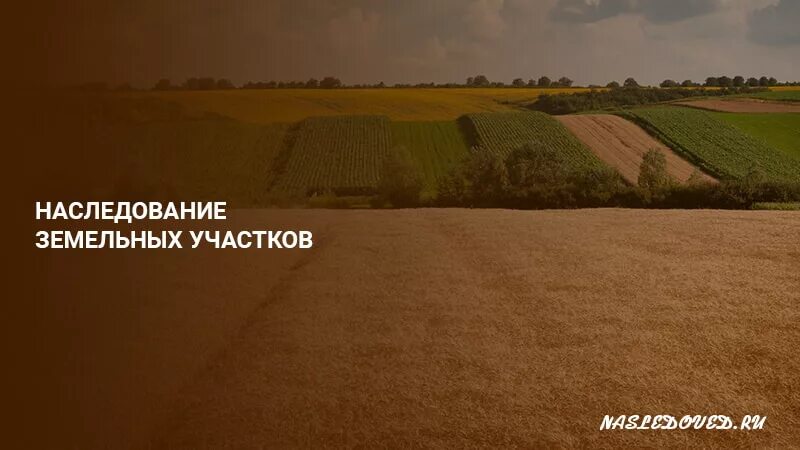 Наследование земельных участков. Земля в наследство. Наследование земельных участков земельное право. Порядок наследования земельного участка. Крупное наследственное земельное