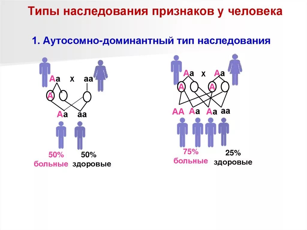 Типы наследования признаков в генетике у человека. Тип наследования гетерозигота. Типы наследования признаков аутосомно рецессивный Тип наследования. Наследование генетических заболеваний у человека таблица. Наследственное взаимодействие