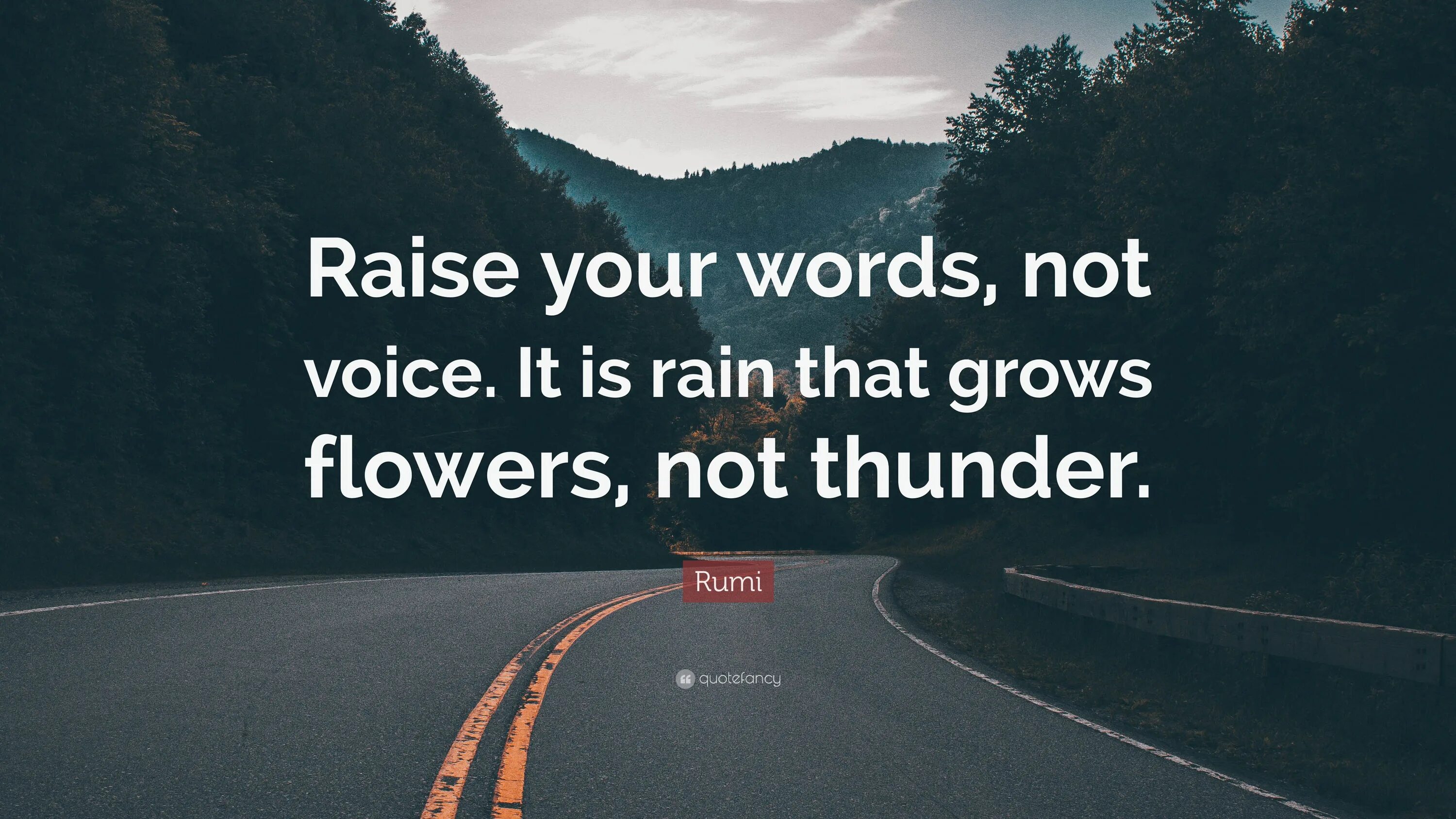 Give me your word. Your word. руми цитаты на английском. руми цитаты. raise voice.