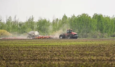 Посевные работы 2024