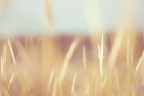 А когда будет светло