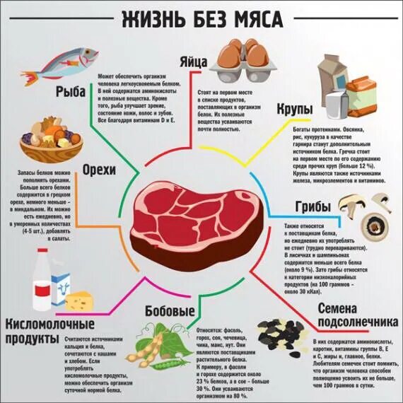 Где содержится белок. В каких продуктов есть белок. В каких продуктах есть белок. В каких продуктах содержатся белки.