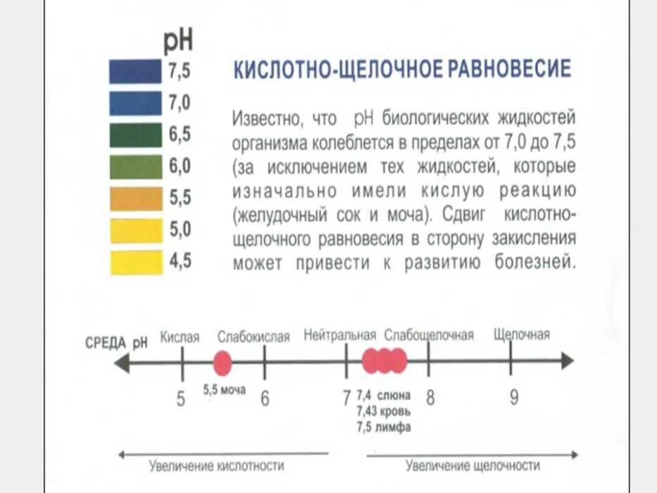 Повышена кислотность лечение. Кислотно-щелочной баланс организма (PH). Показатели PH кислой и щелочной среды. Кислотность среды PH И здоровье человека. PH организма щелочная кислая.