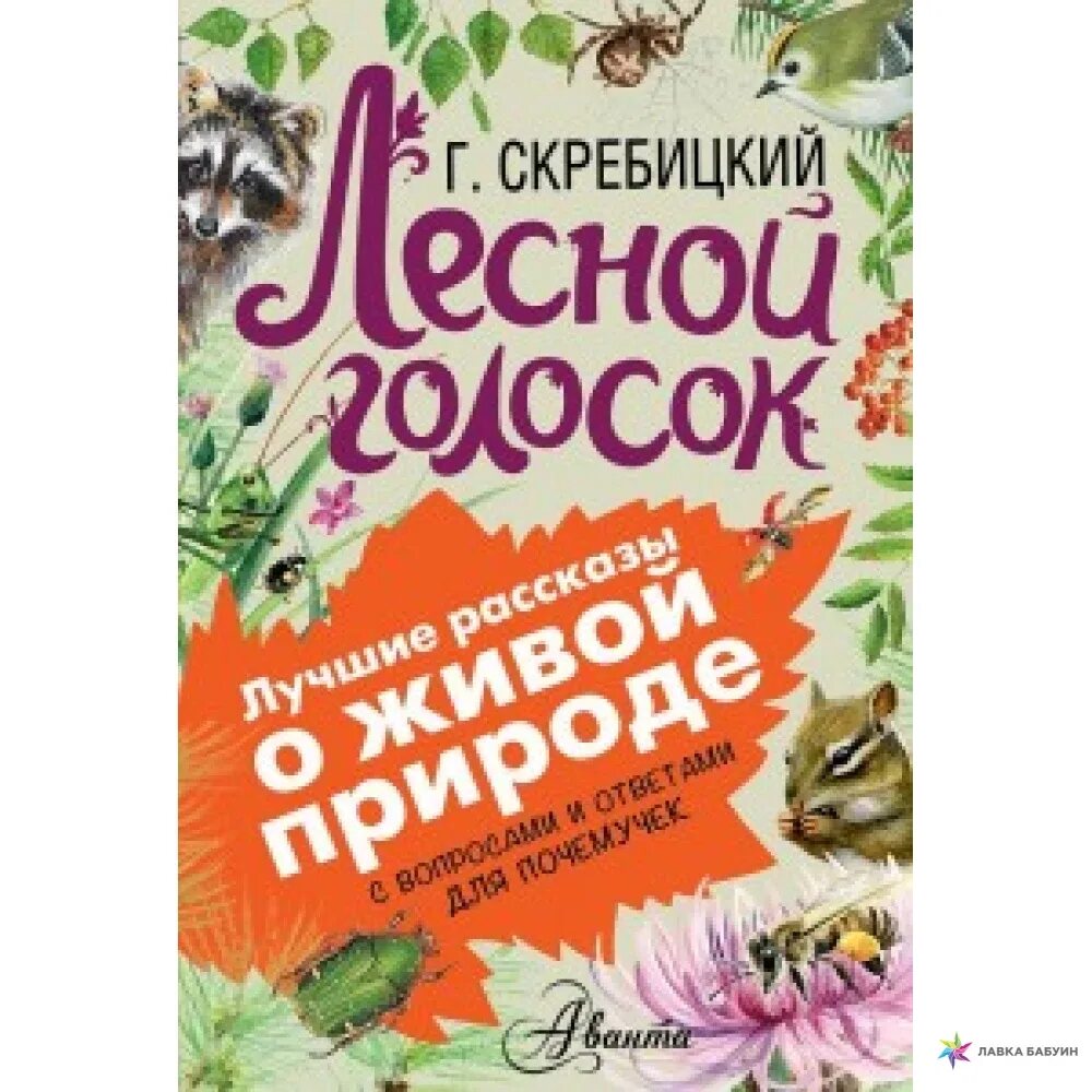 Скребицкий Лесной голосок. Скрребицктй Лесной голос. Лесной голосок книга. Скребицкий книги.