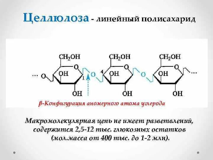 Полисахариды запасные крахмал гликоген целлюлоза хитин. Мономеры полисахаридов. К полисахаридам относятся целлюлоза. Высокомолекулярные полисахариды крахмал и целлюлоза. Крахмал гликоген целлюлоза.