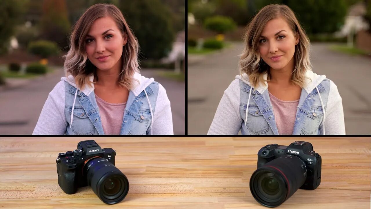 Sony canon сравнение. Sony Color vs Canon. Цветовой профиль Кэнон. Цвета против цвета Кэнон и сони. Сравнение цвета Sony a7r2 и Canon r6.