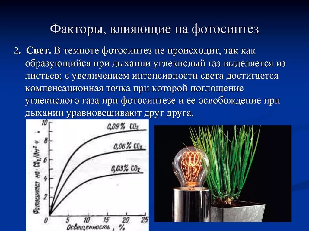 Экспериментатор изучал влияние условий выращивания. Лимитирующие факторы фотосинтеза. Зависимость фотосинтеза от интенсивности освещения. Факторы влияющие на интенсивность фотосинтеза. Зависимость скорости фотосинтеза от интенсивности света.