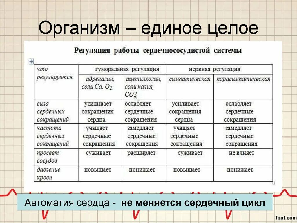 Как работает 10 класс. Организм единое целое. Таблица организм единое целое. Организм как единое целое 10 класс биология. Организм как единое целое 6 класс.