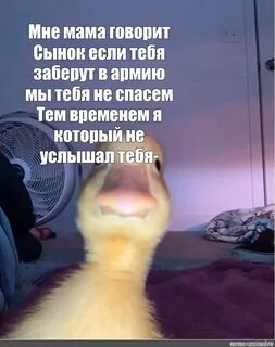 Мама сказала сыну