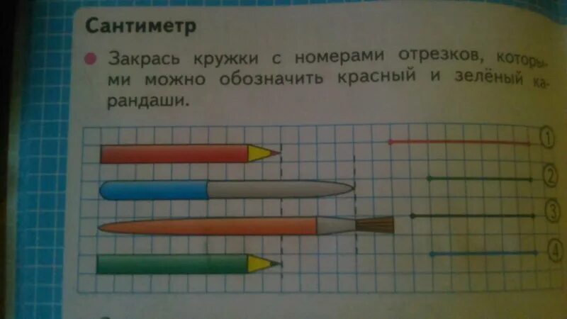 Закрась кружки с номерами отрезков. Закрась кружки с номерами. Закрась кружки с номерами отрезков которыми. Сантиметр закрась кружки с номерами отрезков. Закрась кружки с номерами отрезков которыми можно.