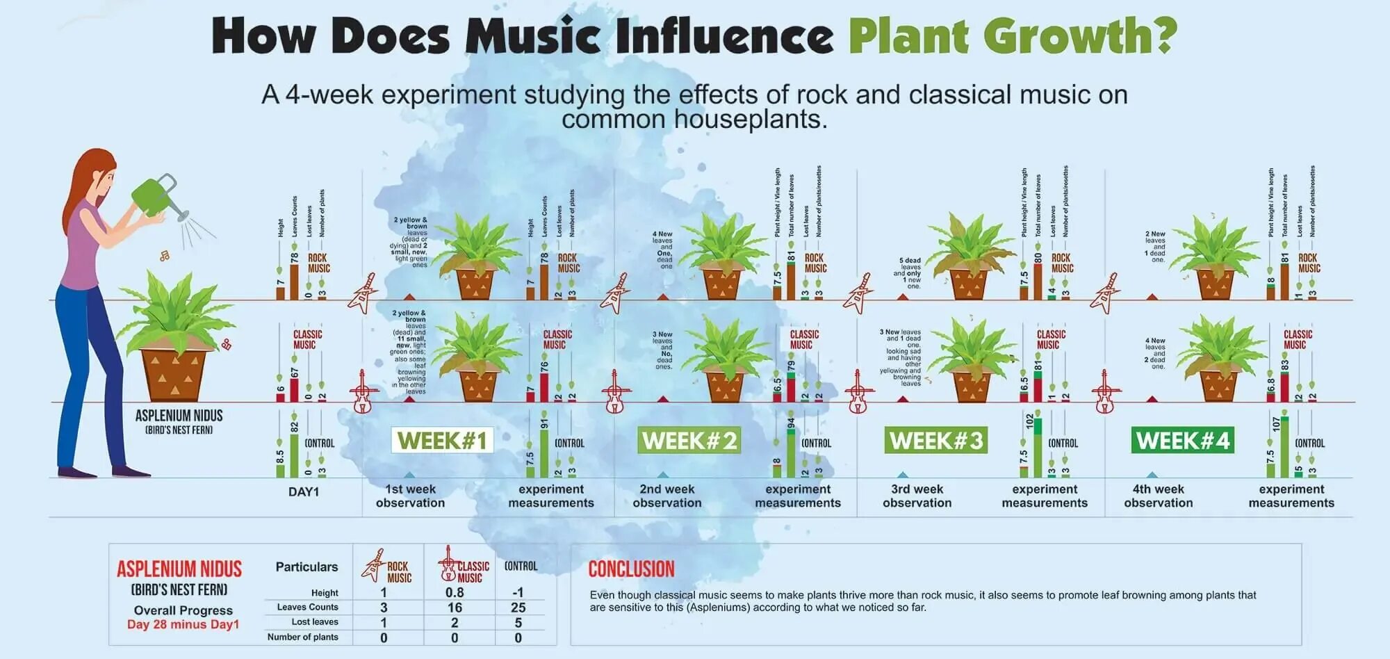 Рост растений. Мьюзик Плант. Influence of Music. Эксперимент бережливые растения.