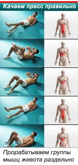 упражнения для сгорания жира на животе. тренировка для жиросжигания живота. упражнения для сжигания жира на животе. как сжечь жир на животе мужчине. как сжечь жир на животе мужчине.