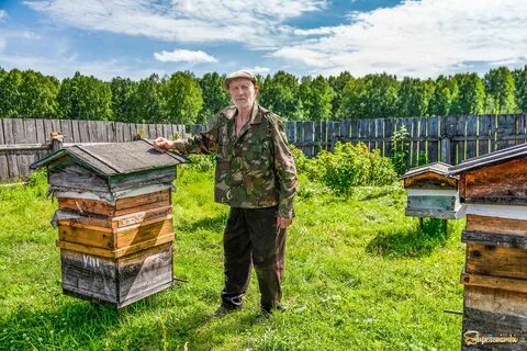 Пасечник новая жизнь