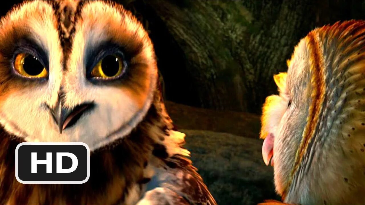 Ga hoole guardians the owls legend. Legend of the Guardians the Owls of ga Hoole. Легенды ночных стражей Отулисса. Отулисса ночные Стражи. Пятнистая Сова Отулисса.