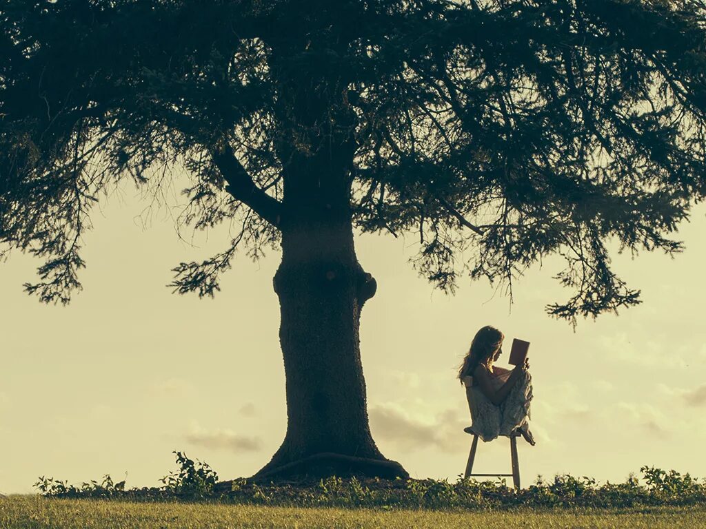 Человек под дубом. Девочка под деревом. Под деревом. Девушка под деревом. Девушка возле дерева.