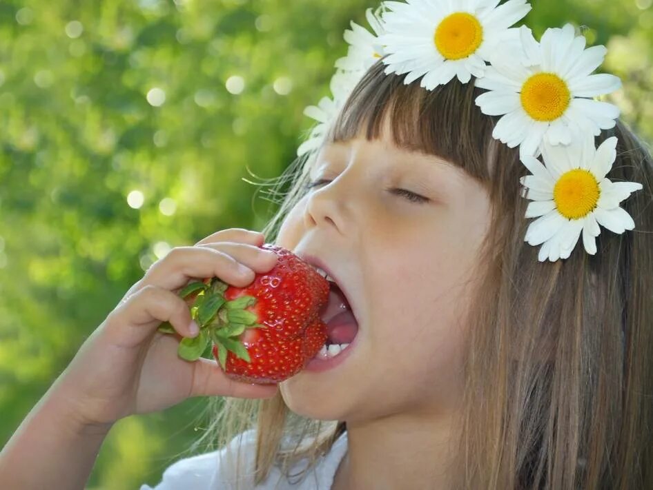 Ягодка ест ягодку. Девочка ест клубнику. Девочка с клубникой. Детская фотосессия с клубникой. Девочка ест ягоды.
