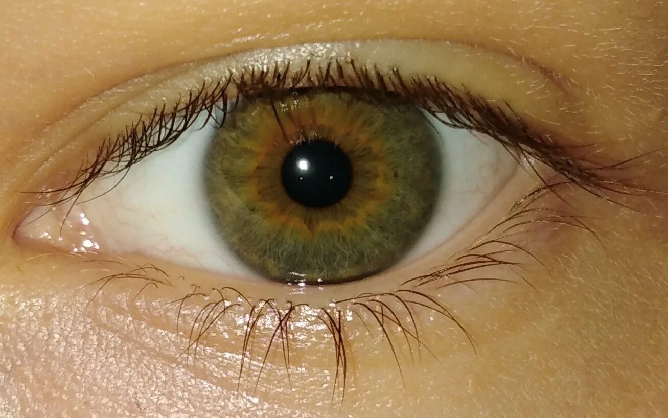 Орехово болотные глаза. Болотный цвет глаз гетерохромия. Каре-зеленые глаза. Желто зеленые глаза.