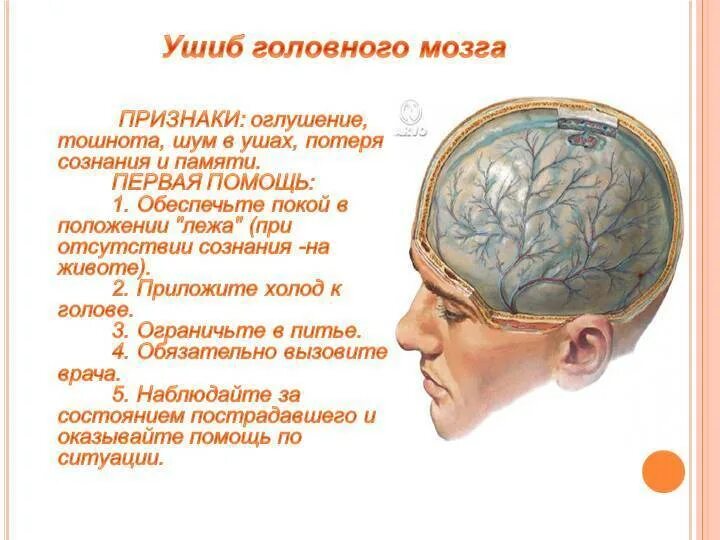 Упала сильно ударилась головой. Ушиб головного мозга симптомы. Признаки ушиба головного мозга.