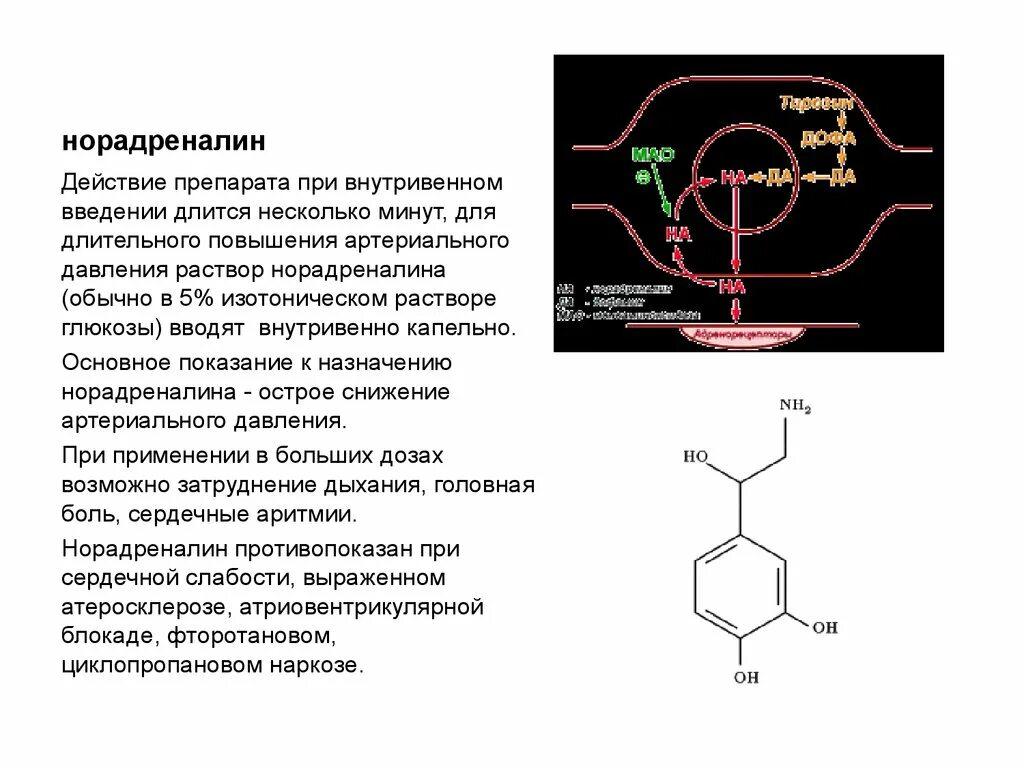 Норадреналин дозирование. Норадреналин внутривенно. Норадреналин эффекты. Введение норадреналина. Норадреналин введение дозатором.