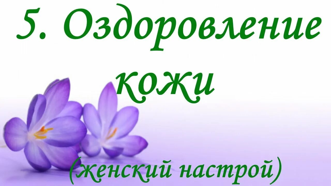 Настрой на оздоровление всего организма. Экспресс настрои Сытина для переписывания. Экспресс настрои Сытина для женщин. Настрои Сытина на оздоровление.