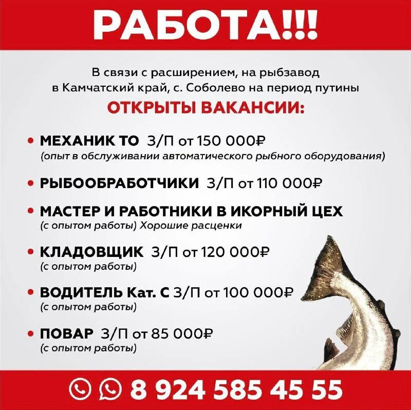 шикотан рыбокомбинат островной. требуются рыбообработчики на камчатку. презентация амбассадор бренда. рыбообработчик на сахалине. требуются рыбообработчики.