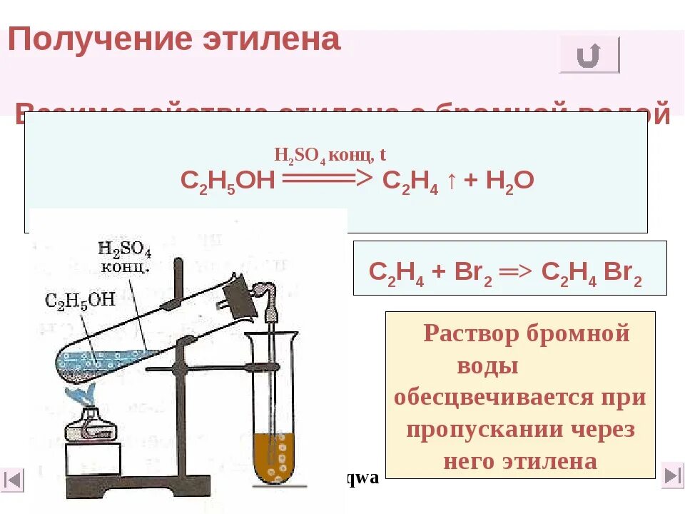 Обесцвечивают бромную воду и перманганат калия. Взаимодействие этилена с бромной водой наблюдение. Взаимодействие этилена с бромной водой. Реакция взаимодействия этилена с бромной водой. Взаимодействие этилена с водой уравнение.