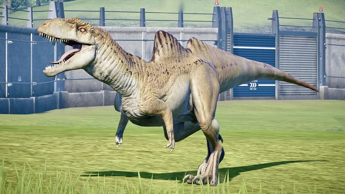 Спинораптор. Спинораптор Jurassic World Evolution. Джурасик ворлд Эволюшн Конкавенатор. Конкавенатор динозавр мир Юрского периода. Jurassic World Evolution Nintendo Switch.