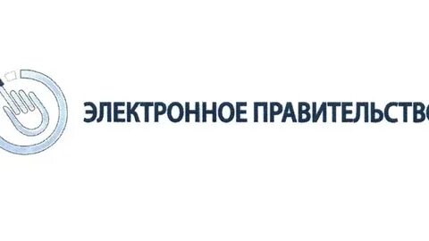Электронное правительство в 2010 году