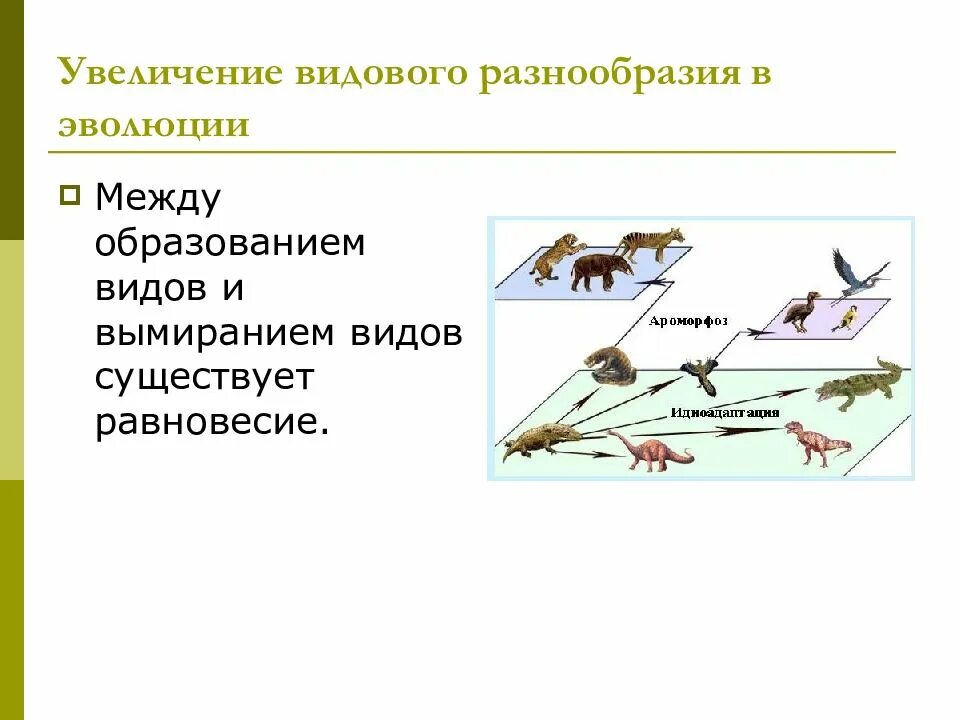 Какое развитие называют прямым