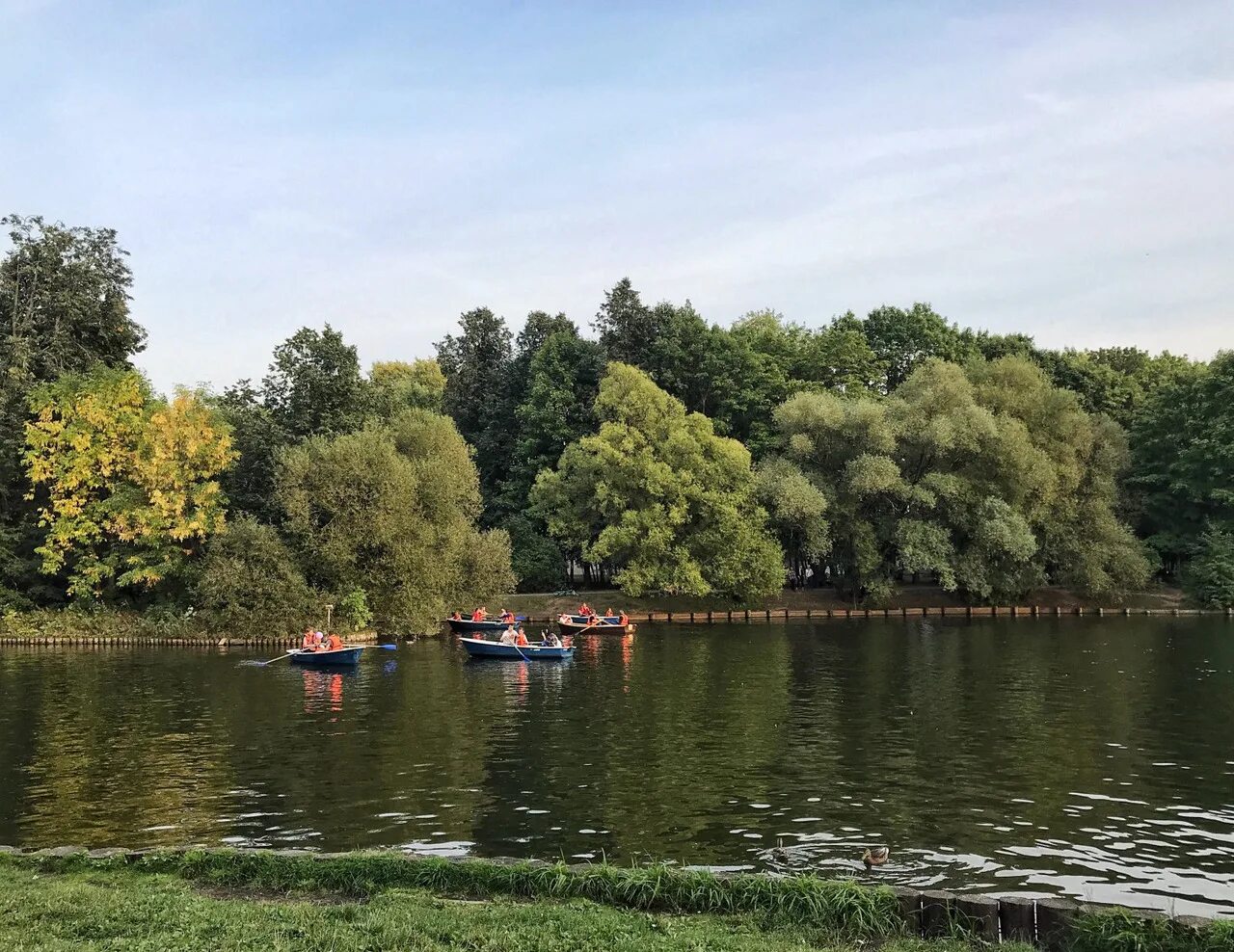 Воронцовский парк в Москве. Воронцовский парк (усадьба воронцово). Воронцовский пруд в парке «усадьба воронцово». Парк Воронцовские пруды.