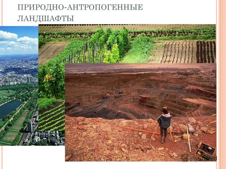 изображение антропогенных ландшафтов. антропогенная территория. повседневная ветровая эрозия. пустыня гоби озеленение. проблемы антропогенного ландшафта.