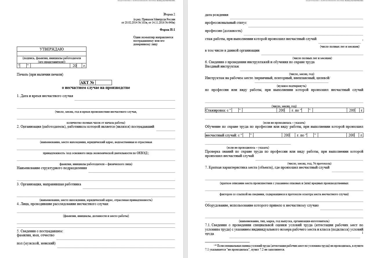 Акт форма 5 несчастный случай. Акт о несчастном случае. Акт о несчастном случае на производстве. Акт н-1. Акт о несчастном случае на производстве форма н-1.