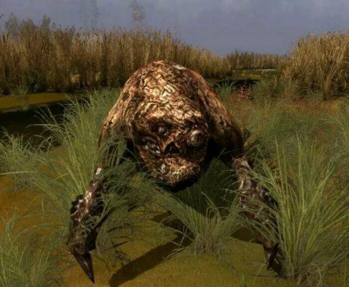 Стоящая плоть. Стоящая плоть. Стоящая плоть. Плоть сталкер тень чернобыля. Ведьмак 2 лагерь фольтеста.