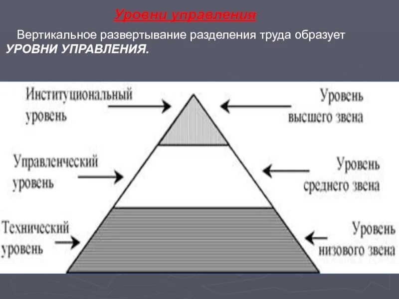 Как называется разделение