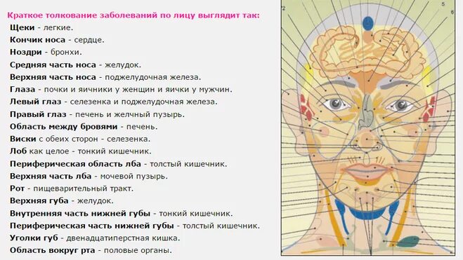 Тело говорит о болезни. Проекция высыпаний на лице. Карта лица высыпания на лице.