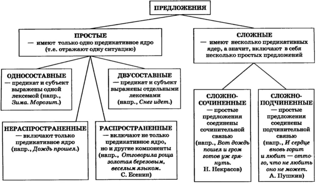 Типы предложений в русском языке. Структурно-семантические типы простого предложения. Структурные типы предложений. Типы предложений по структуре.