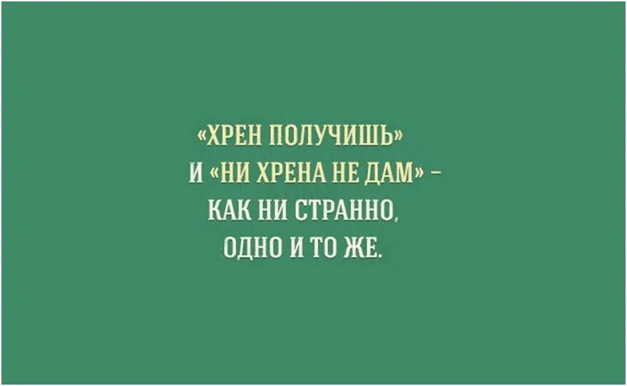 Цитаты иностранцу. Цитаты учителей смешные. смешные фразы про педагогов.