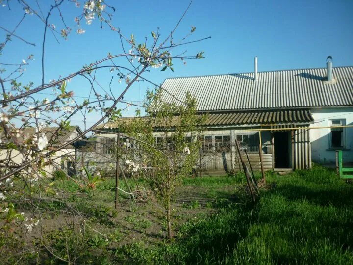 Погода в оськино. Село Оськино Воронежской области. Петровка Хохольский район. Р.П. Хохольский, ул. Колхозная д. 50а.. Тальменка Воронежская Молодежная.