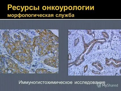 Сайт игх со ран
