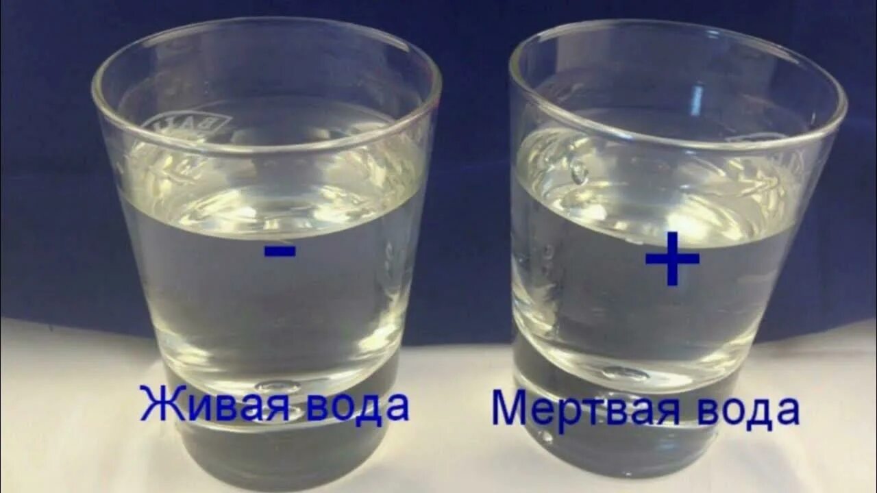 Как пить живую и