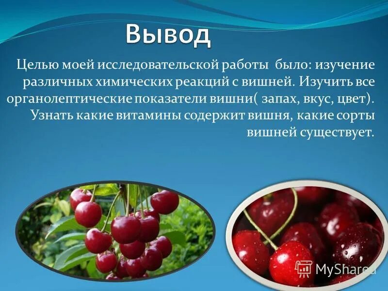 отдушка вишня. духи том форд лост черри. запах вишни какой. отдушка вишня. запах вишни какой.