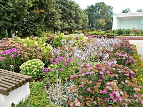 Александровский. Детский сад 15 елец. Ботанический сад городской парк елец. Сады елец. Сады елец.