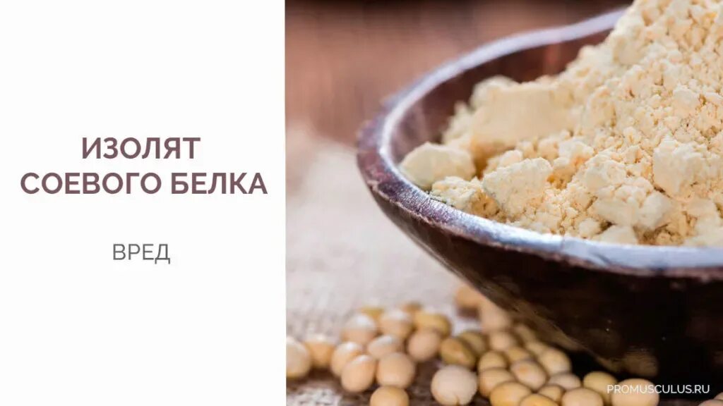 Как принимать соевый. Соевый изолят. соевый белок. соевый протеиновый изолят. соевый белок изолят.