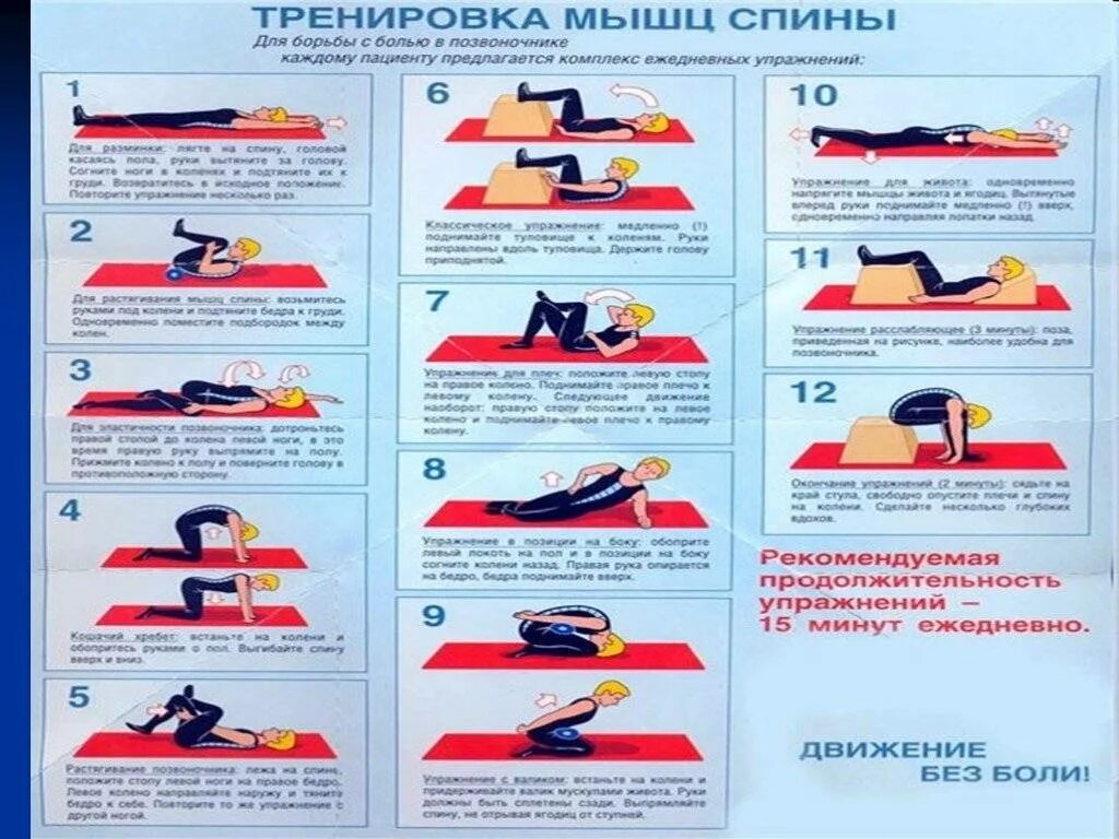 Тренировка мышц спины. Комплекс упражнений для укрепления мышц спины и позвоночника. комплекс упражнений для укрепления мышц спины физкультура. комплекс упражнений на укрепление мышц спины с описанием. упражнения для укрепления мышц спины и поясницы.