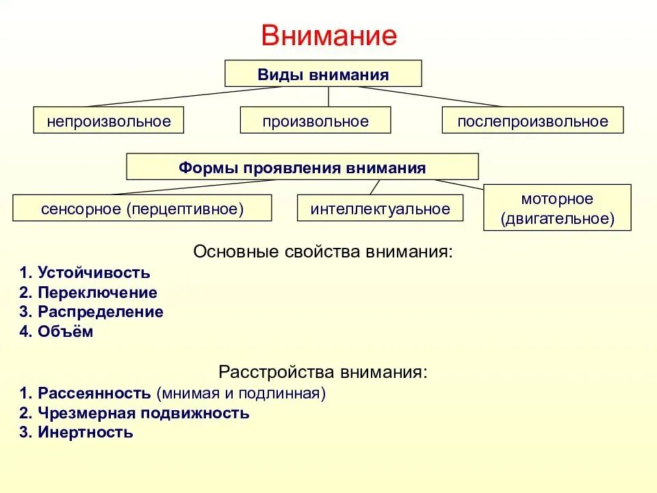 Основные центры внимания