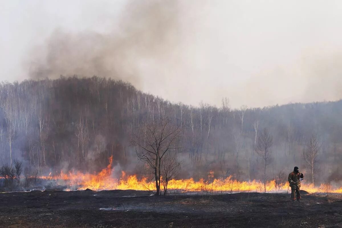 Лесные пожары в Сибири (2019), Россия. Пожар в сибирской тайге. Леса Сибири пожар. Пожар в лесу Россия. Российский сгореть